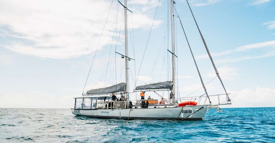 Cairns: Green Island & Great Barrier Reef Sailing Tour - Who will enjoy it most