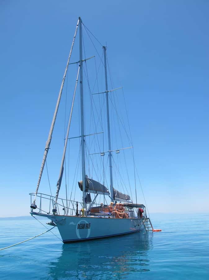 Cairns: Green Island & Great Barrier Reef Sailing Tour - A generous lunch back on board