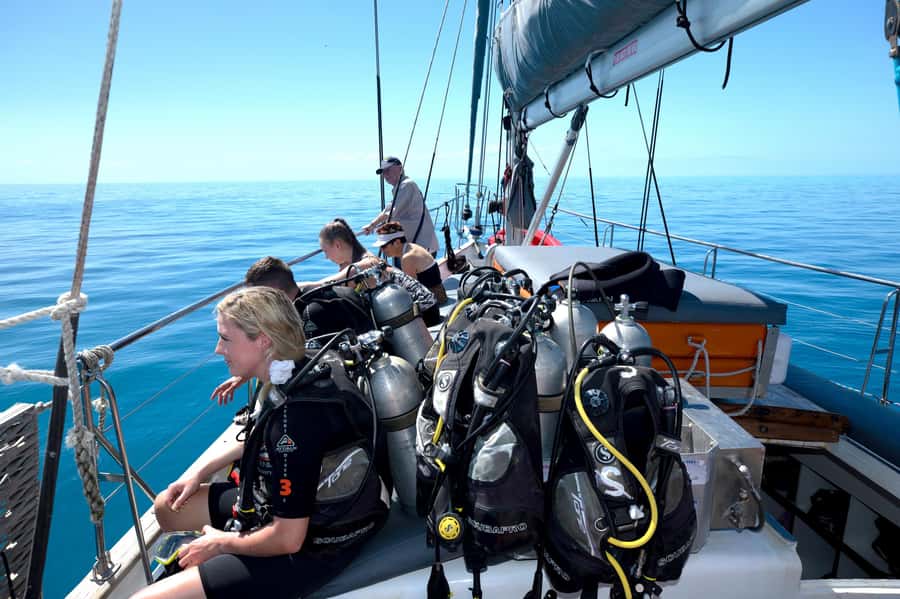 Cairns: Green Island & Great Barrier Reef Sailing Tour - The last reef session and the sail home