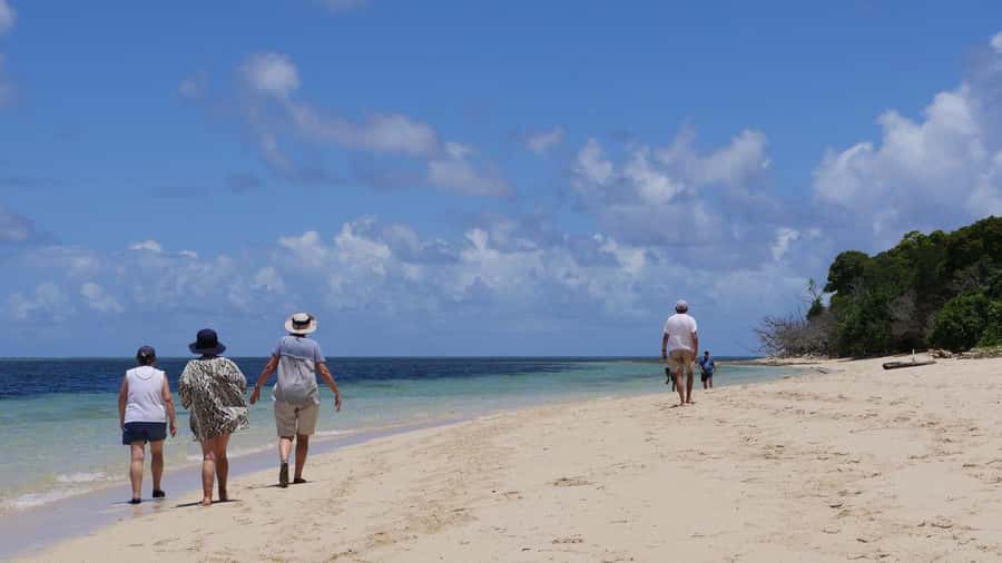 Cairns: Green Island & Great Barrier Reef Sailing Tour - What the $183 price buys you