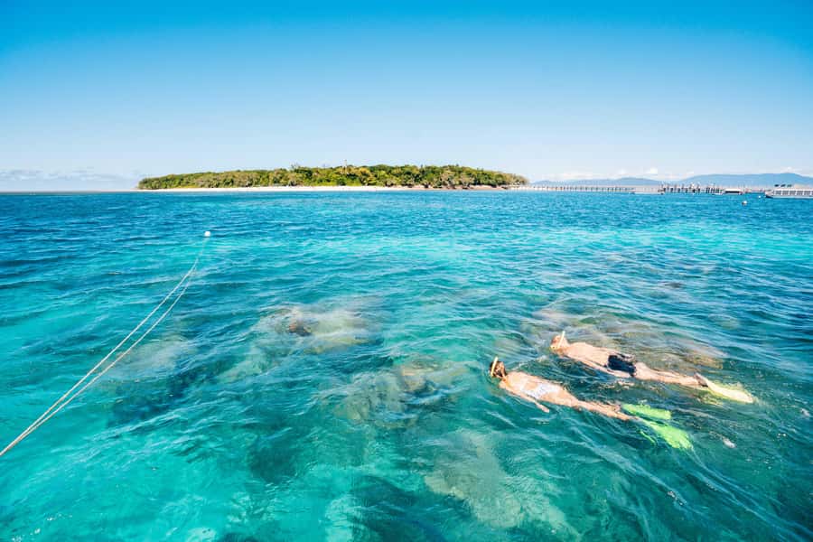 Cairns: Green Island Snorkelling or Glass Bottom Boat - Reaching Green Island from Cairns