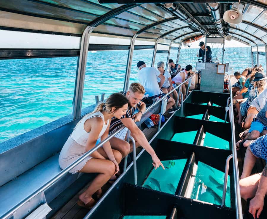 Cairns: Green Island Snorkelling or Glass Bottom Boat - A 6,000-year-old coral cay with rainforest