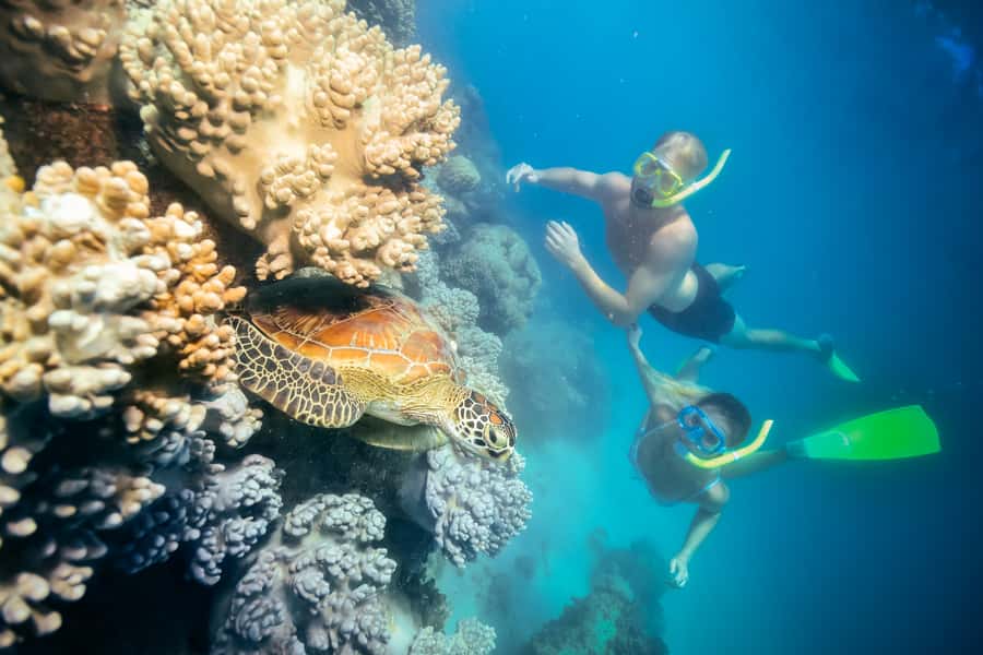 Cairns: Green Island Snorkelling or Glass Bottom Boat - Choosing between snorkeling and the glass bottom boat