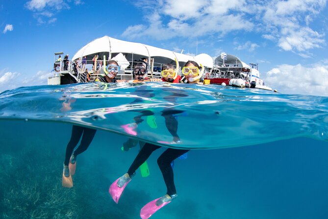 Cairns Half Day Tour a Great Barrier Reef Snorkeling Experience - Snorkeling Upolu Reef with a guide