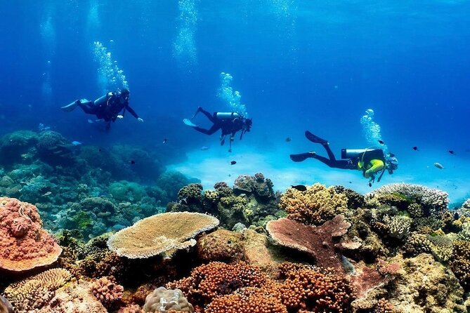 Cairns Half Day Tour a Great Barrier Reef Snorkeling Experience - Why the weather can make or break the day