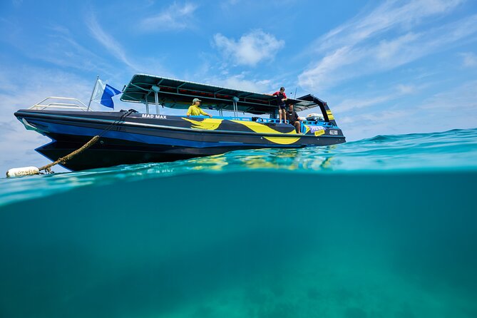 Cairns Half Day Tour a Great Barrier Reef Snorkeling Experience - Is $128.39 a fair price?