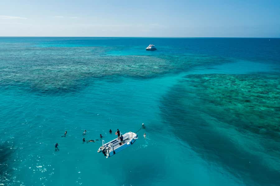 Cairns: Outer and Coral Cay Snorkel and Dive Cruise - Upolu Cay and the Aquarium area