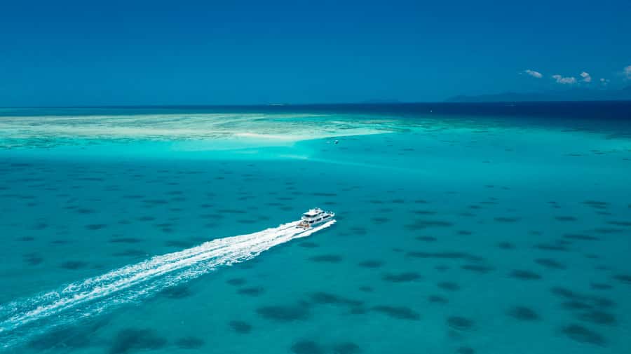 Cairns: Outer and Coral Cay Snorkel and Dive Cruise - A full day rather than a quick reef sample