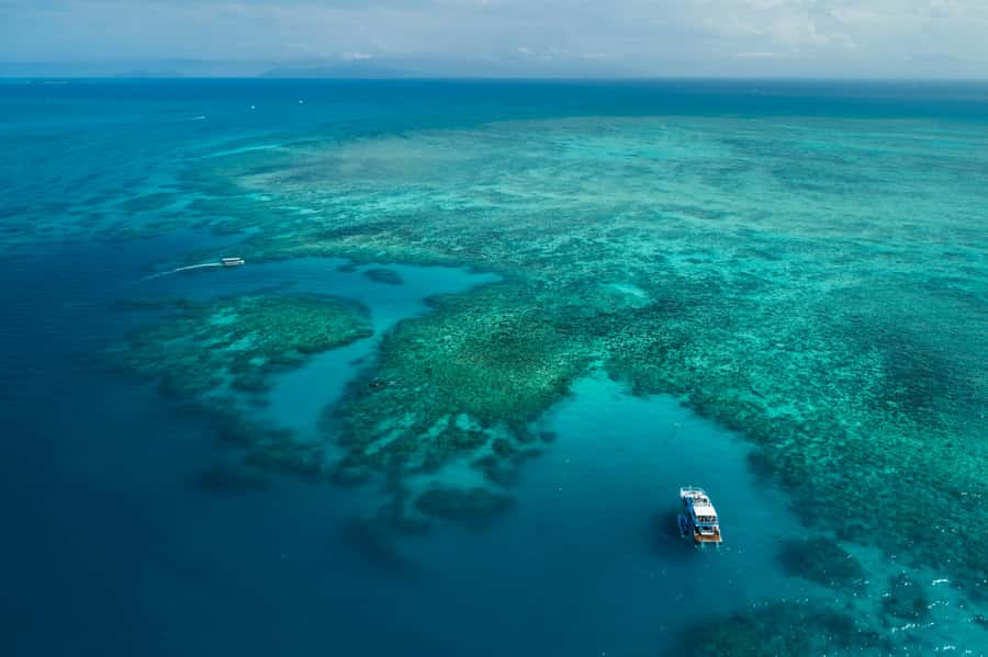 Cairns: Outer and Coral Cay Snorkel and Dive Cruise - What $183 buys you