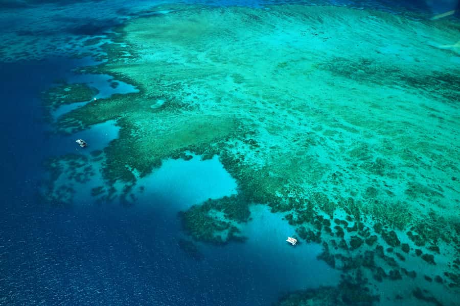 Cairns: Outer Edges of The Great Barrier Reef Scenic Flight - Why seeing the reef from the air changes the experience