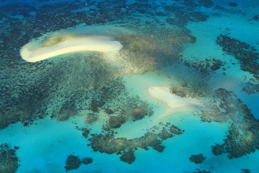 Cairns: Outer Edges of The Great Barrier Reef Scenic Flight - Arlington Reef and the wider Outer Barrier
