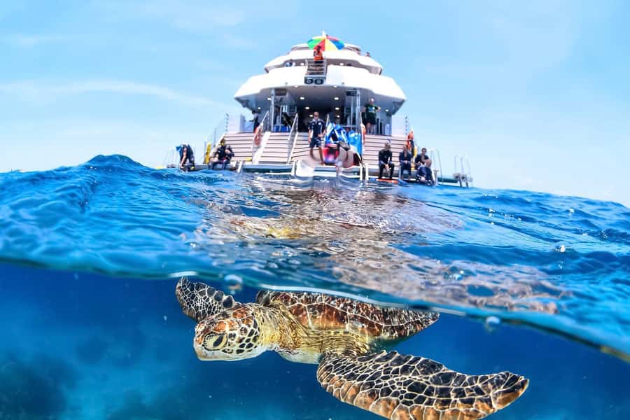 Cairns: Outer Great Barrier Reef Full-Day Tour with Lunch - Key points to know before booking