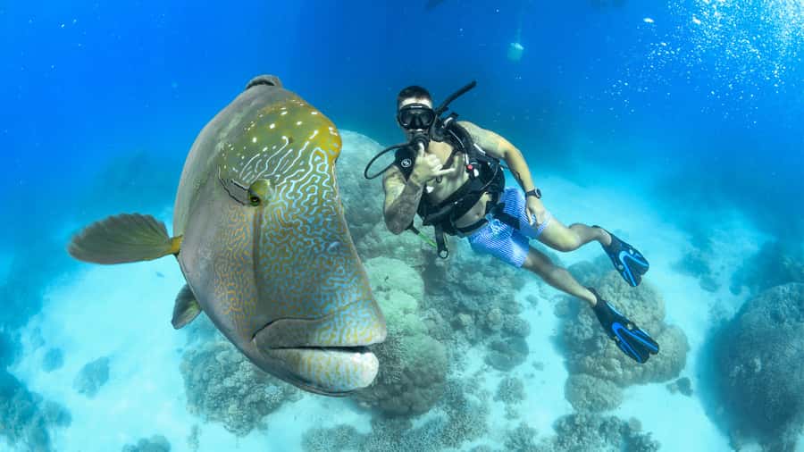 Cairns: Outer Great Barrier Reef Full-Day Tour with Lunch - Saxon Reef: your first two-hour water session