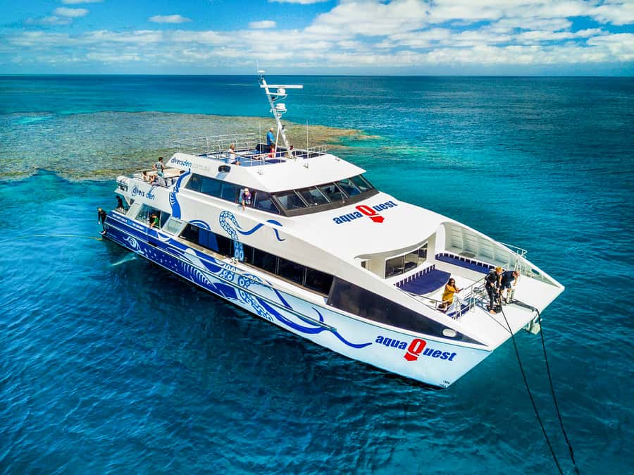 Cairns: Premium Snorkelling and Diving Reef Day Trip - Quick reasons to choose this reef trip