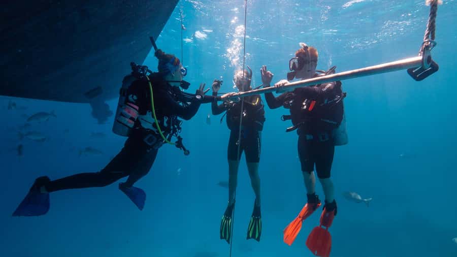 Cairns: Premium Snorkelling and Diving Reef Day Trip - My verdict: book it if reef time matters most