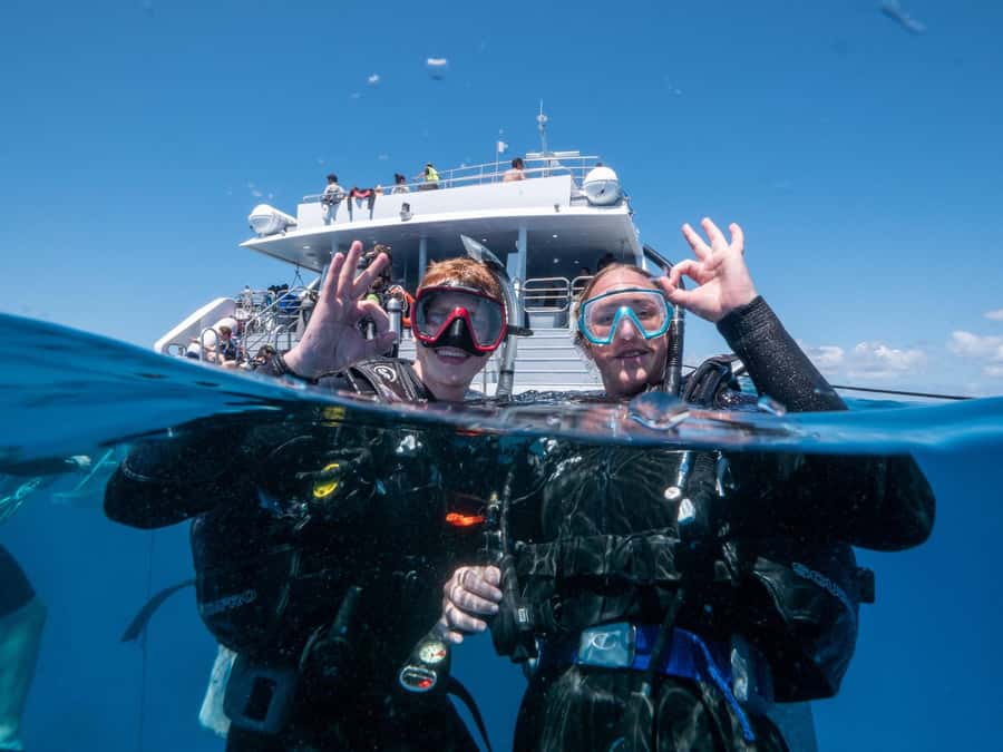 Cairns: Premium Snorkelling and Diving Reef Day Trip - Is $166 fair for a full day on the reef?