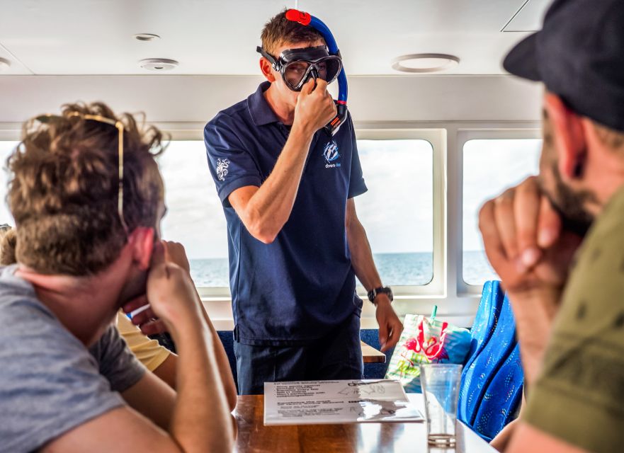 Cairns: Premium Snorkelling and Diving Reef Day Trip - Who will get the most from this trip?