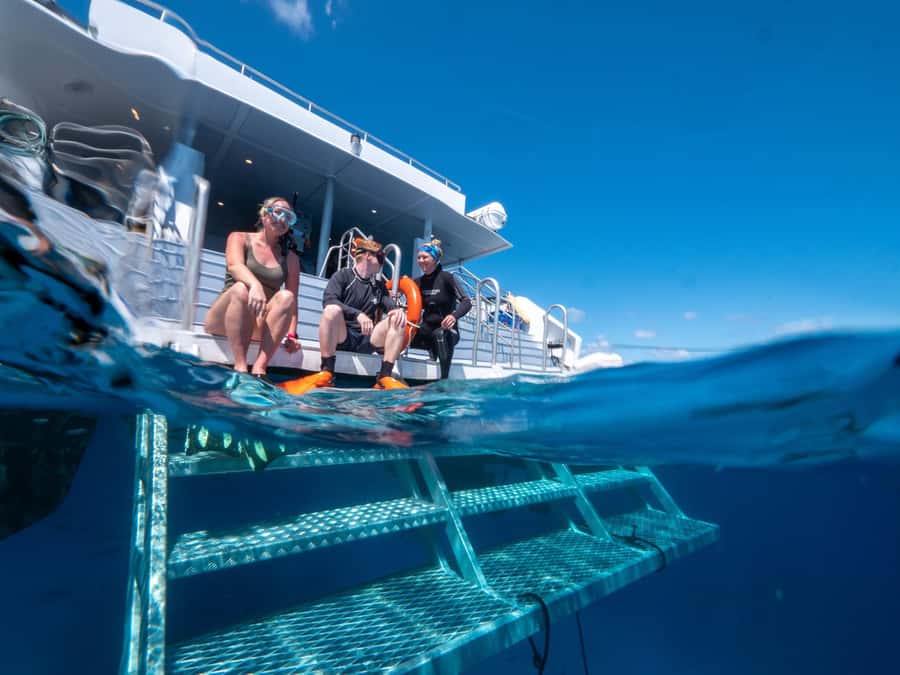Cairns: Premium Snorkelling and Diving Reef Day Trip - Practical ways to have a better day