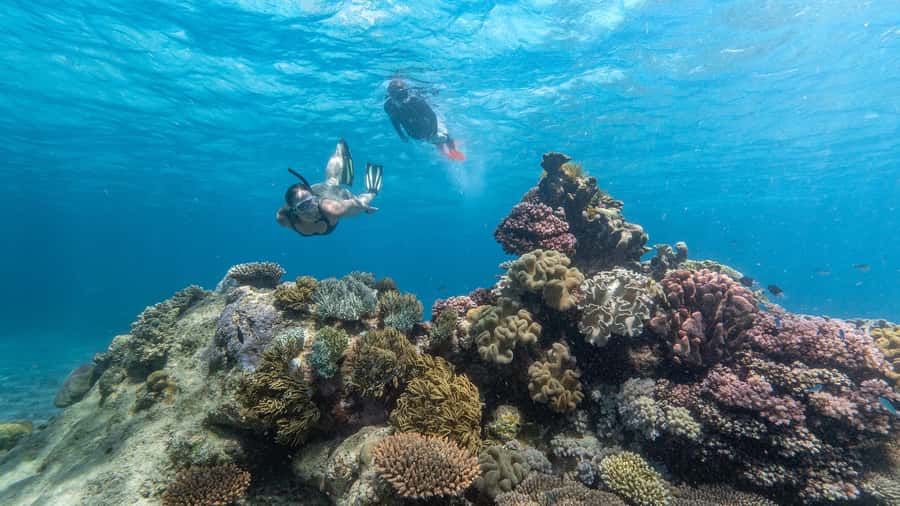 Cairns: Premium Snorkelling and Diving Reef Day Trip - AquaQuest makes the water access easier