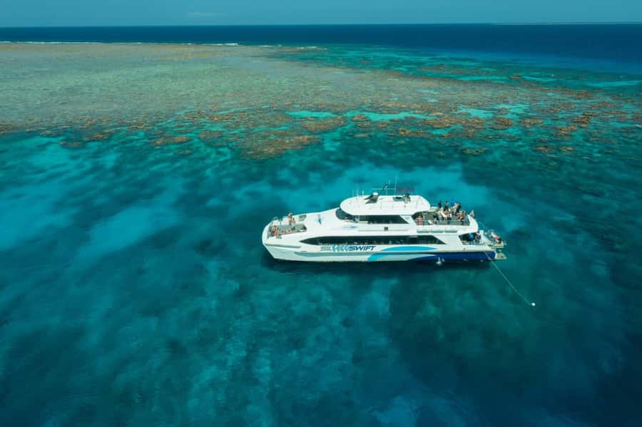 Cairns: Silverswift 3 Great Barrier Reef Sites in 1 Day - Why three reef sites make this Cairns trip appealing