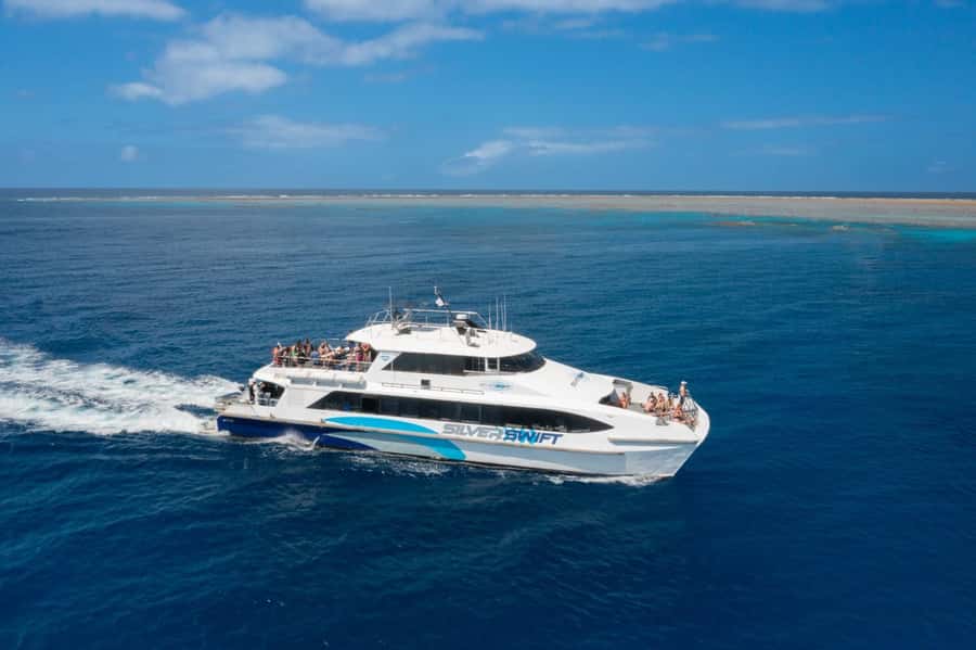 Cairns: Silverswift 3 Great Barrier Reef Sites in 1 Day - Food, boat comfort, and the parts between swims
