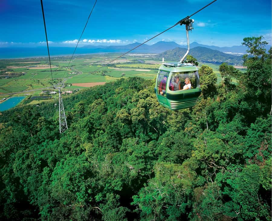 Cairns: Skyrail, Kuranda, and Rail Tour with Hotel Transfers - Riding above the rainforest on Skyrail