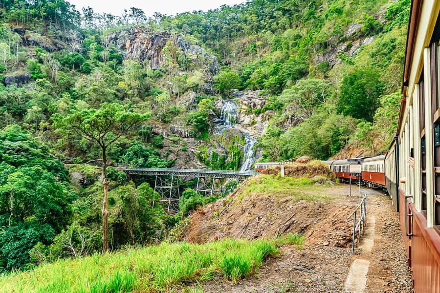 Cairns: Skyrail, Kuranda, and Rail Tour with Hotel Transfers - What the $147 price covers