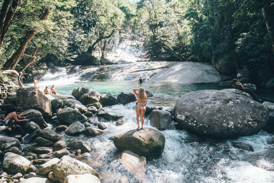 Cairns: Waterfall and Daintree Rainforest Tour - 2 Day Tours - Two days that show off Tropical North Queensland