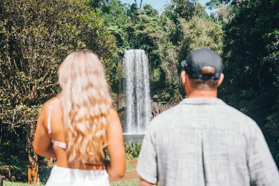 Cairns: Waterfall and Daintree Rainforest Tour - 2 Day Tours - Millaa Millaa Falls delivers the classic view