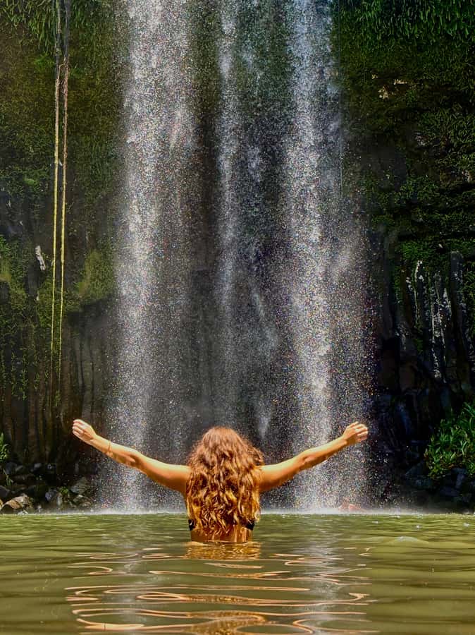 Cairns: Waterfall Tour with Lunch - Cathedral Fig Tree and the cultural opening
