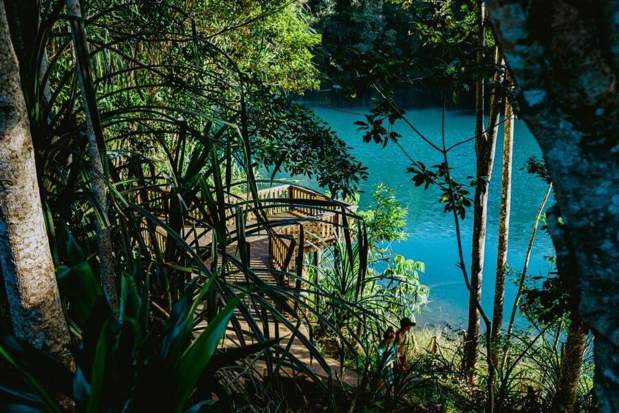 Cairns: Waterfall Tour with Lunch - Lunch in Malanda and what to expect