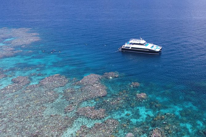 Calypso Outer Great Barrier Reef Cruise from Port Douglas - Agincourt and Opal Reef: what makes the water time worthwhile