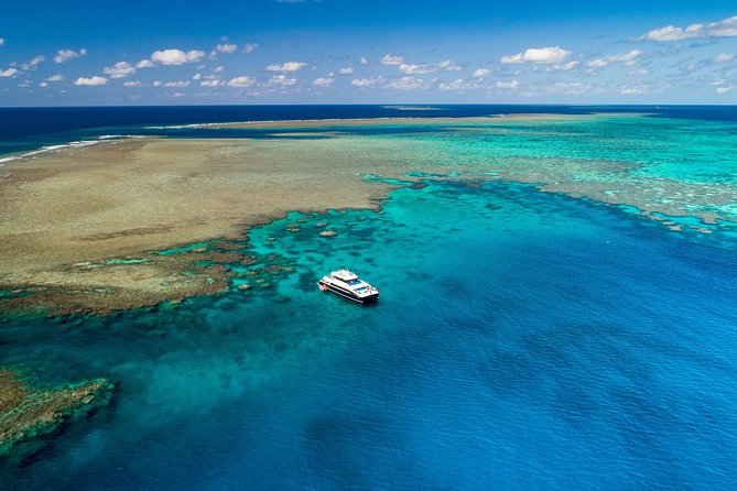 Calypso Outer Great Barrier Reef Cruise from Port Douglas - Lunch, tea, and what is included for $227.37