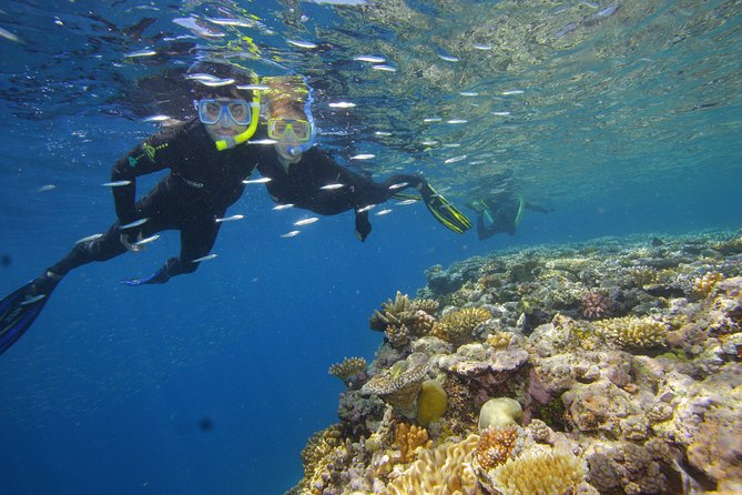 Calypso Outer Great Barrier Reef Cruise from Port Douglas - Who will get the most from Calypso