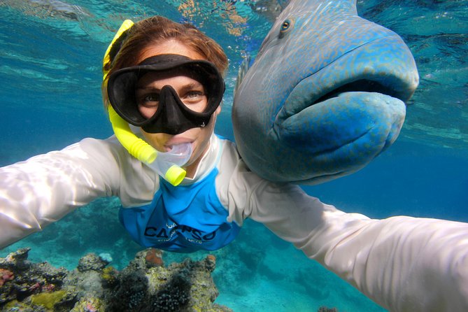 Calypso Outer Great Barrier Reef Cruise from Port Douglas - Practical details that can save you trouble
