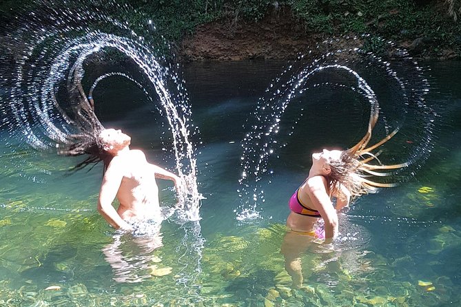 Cape Tribulation Day Tour from Cairns - Rainforest time, freshwater swimming, and Cape Tribulation Beach