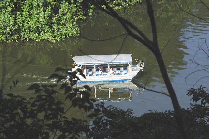 Cape Tribulation Day Tour from Cairns - Food, timing, and the value of $157.08