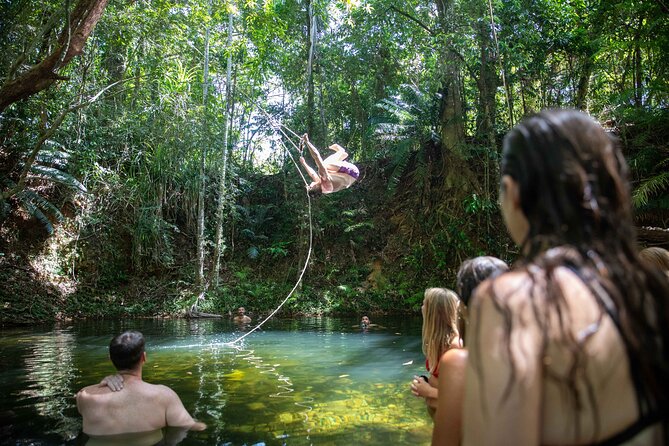 Cape Tribulation Day Tour from Cairns - Port Douglas and Four Mile Beach