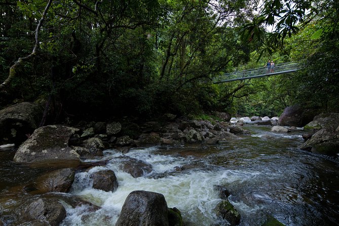 Cape Tribulation, Mossman Gorge and Daintree Rainforest Day Tour - Key points at a glance