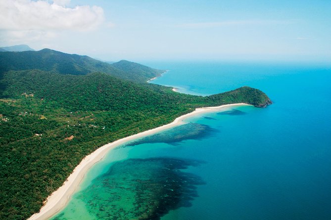 Cape Tribulation, Mossman Gorge and Daintree Rainforest Day Tour - Captain Cook Highway and Rex Lookout
