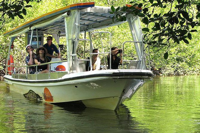 Cape Tribulation, Mossman Gorge and Daintree Rainforest Day Tour - Lunch at the Daintree Tea House