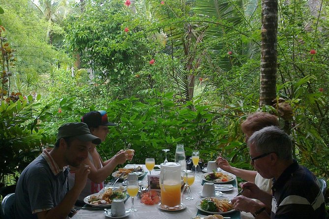 Cape Tribulation, Mossman Gorge and Daintree Rainforest Day Tour - A short taste of Port Douglas
