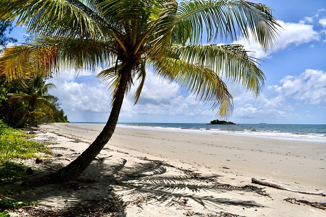 Cape Tribulation, Mossman Gorge, and Daintree Rainforest Day Trip - The local-fruit ice cream stop