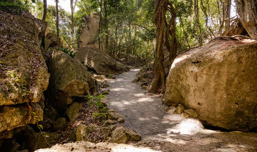 Capricorn Caves, Australia: 45-Minute Cathedral Cave Tour - What the guide adds in 45 minutes