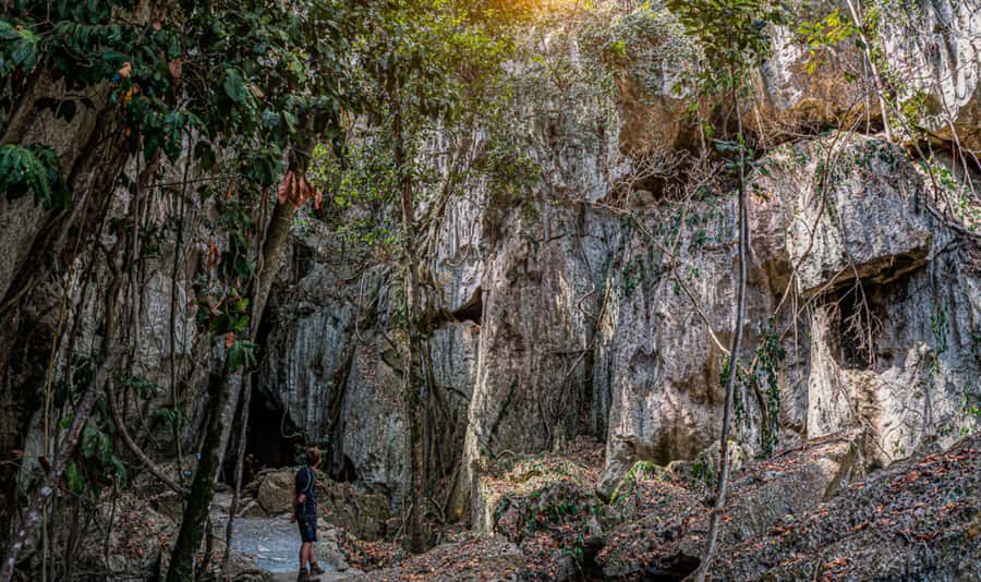 Capricorn Caves, Australia: 45-Minute Cathedral Cave Tour - Families, older visitors, and nervous cave walkers