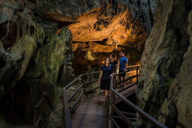 Capricorn Caves Cathedral Cave Tour - What you see during the 45-minute route