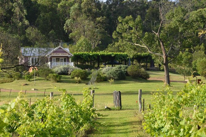 Chef-Led Hunter Valley Gourmet Food and Wine Day Tour from Sydney - The Hawkesbury River break after the city