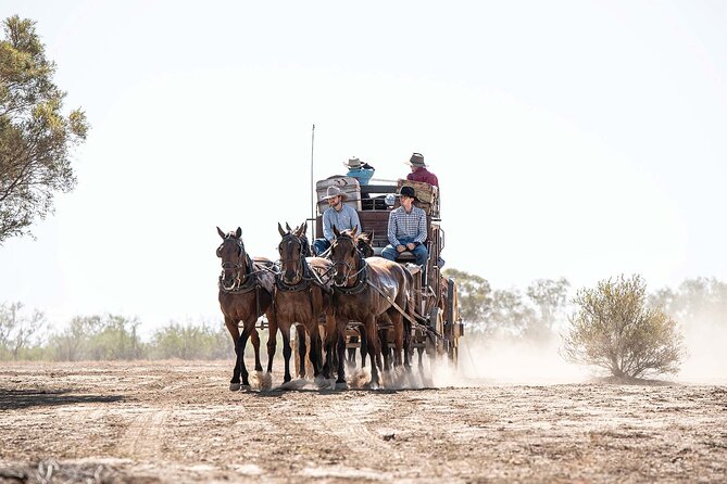 Cobb & Co Stagecoach Experience in Longreach - Why the coach ride is the heart of the experience