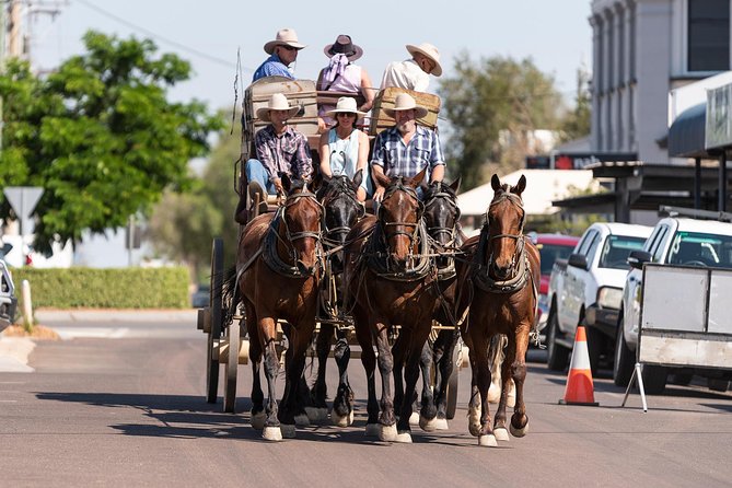 Cobb & Co Stagecoach Experience in Longreach - What the guides add to the ride
