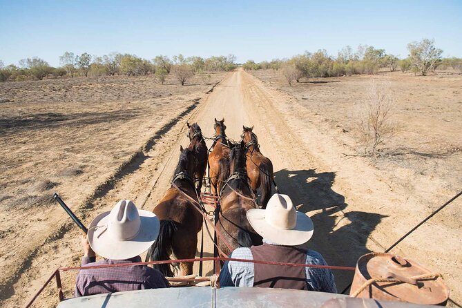 Cobb & Co Stagecoach Experience in Longreach - Is $118.35 good value?